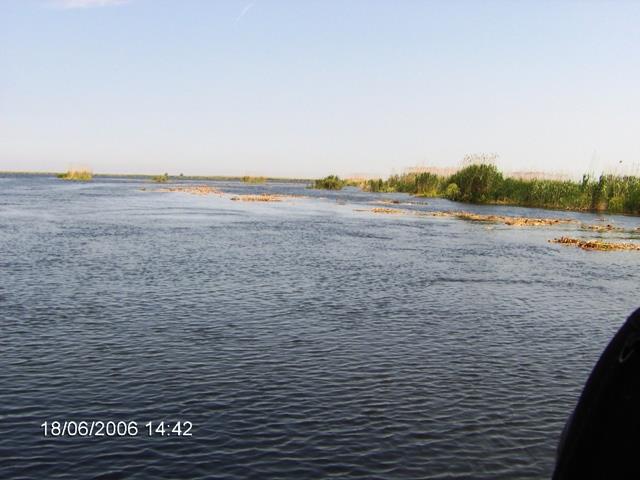delta rosu 2006 - im000210.JPG